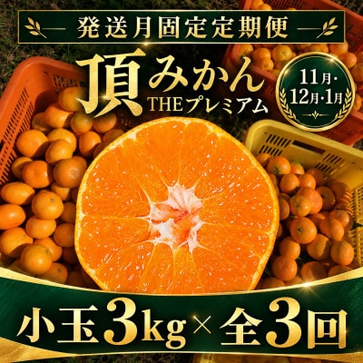 【発送月固定定期便】頂みかんTHEプレミアム 小玉3kg【31-70】全3回