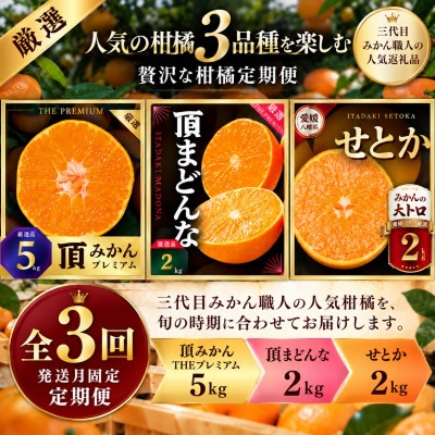 【発送月固定定期便】頂みかんTHEプレミアム5kg・頂まどんな・せとか各2kg【31-75】全3回