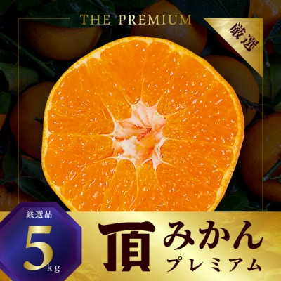 【発送月固定定期便】頂みかんTHEプレミアム5kg・頂まどんな・せとか各2kg【31-75】全3回