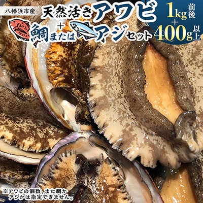 竹中水産の大きめ入り1kg前後「天然活きアワビ(鯛もしくはアジとセット) 」【H22-220】