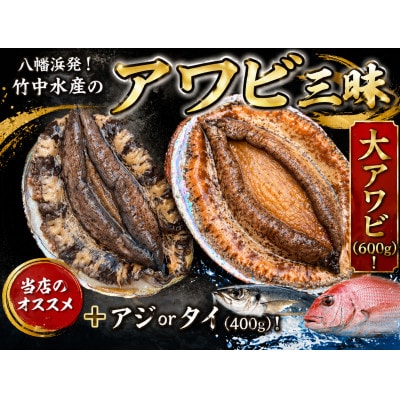 八幡浜発!竹中水産の「アワビ三昧、中サイズ」600g(鯛もしくはアジとセット)【H22-213】