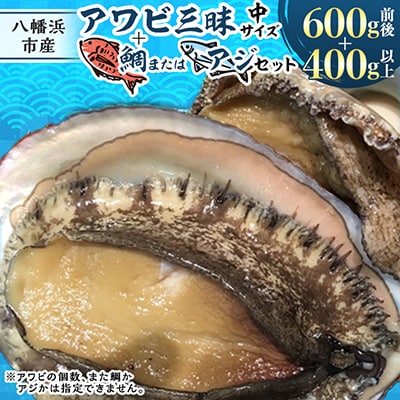 八幡浜発!竹中水産の「アワビ三昧、中サイズ」600g(鯛もしくはアジとセット)【H22-213】