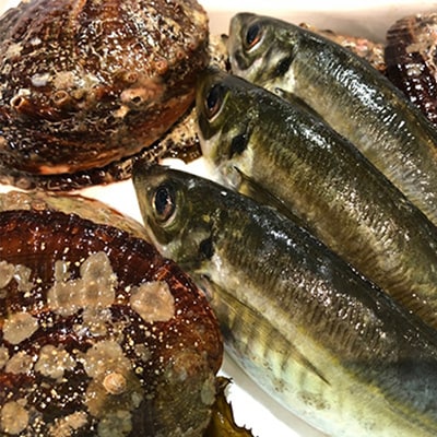 八幡浜発!竹中水産の「アワビ三昧、中サイズ」600g(鯛もしくはアジとセット)【H22-213】