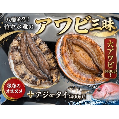 八幡浜発!竹中水産の「アワビ三昧大サイズ」400g(鯛もしくはアジとセット)【F22-214】
