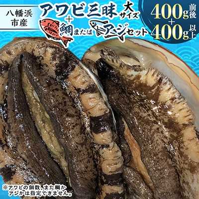 八幡浜発!竹中水産の「アワビ三昧大サイズ」400g(鯛もしくはアジとセット)【F22-214】
