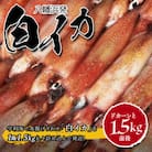 【冷凍便】八幡浜発!「白イカ(剣先イカ)」ドカーンと1.5kg!【D22-217】