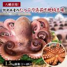 八幡浜発!竹中水産のたっぷり「浜茹で地蛸」三昧!1.5kg前後【F22-189】