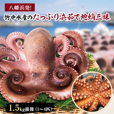 八幡浜発!竹中水産のたっぷり「浜茹で地蛸」三昧!1.5kg前後【F22-189】