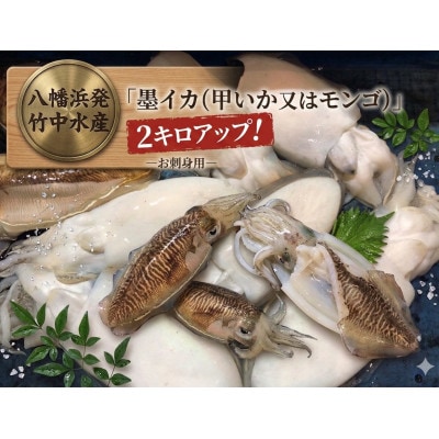 【冷凍便】八幡浜発!竹中水産の「墨イカ(甲いか又はモンゴ)」2kg!お刺身用【F22-221】