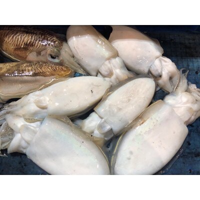 【冷凍便】八幡浜発!竹中水産の「墨イカ(甲いか又はモンゴ)」2kg!お刺身用【F22-221】