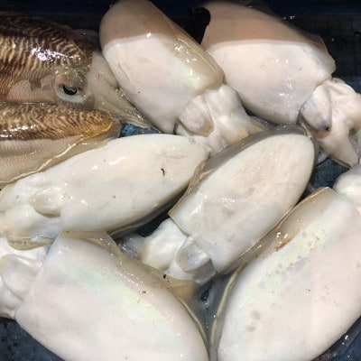 【冷凍便】八幡浜発!竹中水産の「墨イカ(甲いか又はモンゴ)」2kg!お刺身用【F22-221】