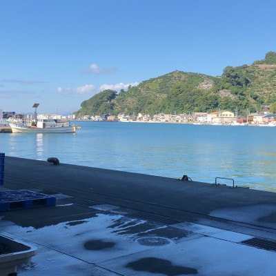 八幡浜発! 竹中水産の「ノドグロー匠の天日干し」1kg前後【H22-218】