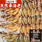 八幡浜発!竹中水産の『天然車海老大or中サイズ』やっぱり違う天然! 【H22-224】