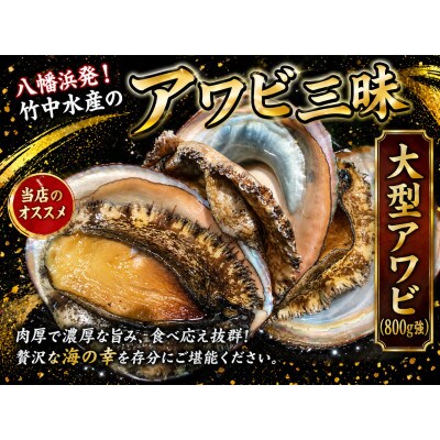 竹中水産の嗜好の大型アワビ(合計800g強)! 【H22-225】