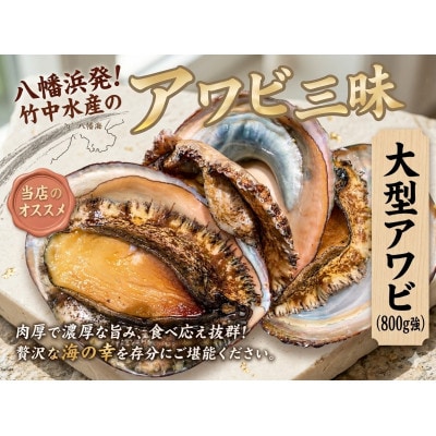 竹中水産の嗜好の大型アワビ(合計800g強)! 【H22-225】