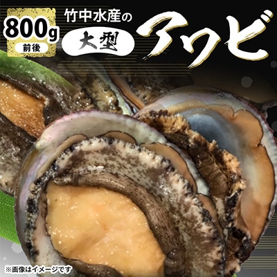竹中水産の嗜好の大型アワビ(合計800g強)! 【H22-225】