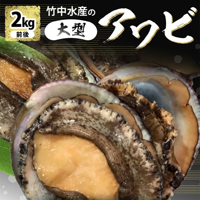 竹中水産の嗜好の大型アワビ(2kg前後)!【H22-230】
