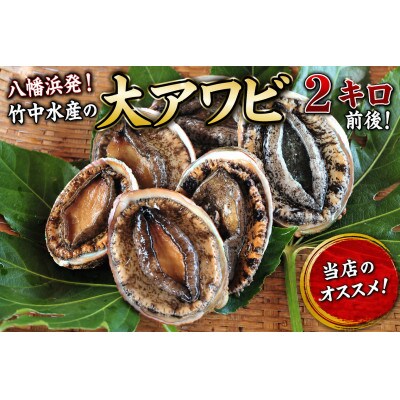 竹中水産の嗜好の大型アワビ(2kg前後)!【H22-230】
