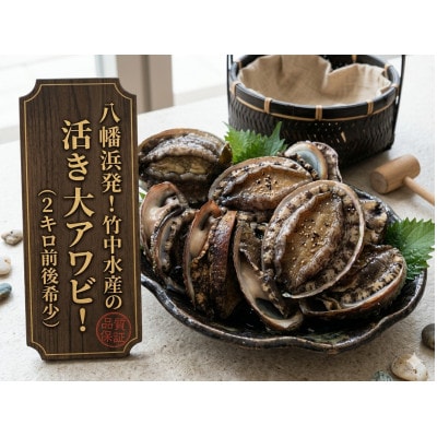 竹中水産の嗜好の大型アワビ(2kg前後)!【H22-230】