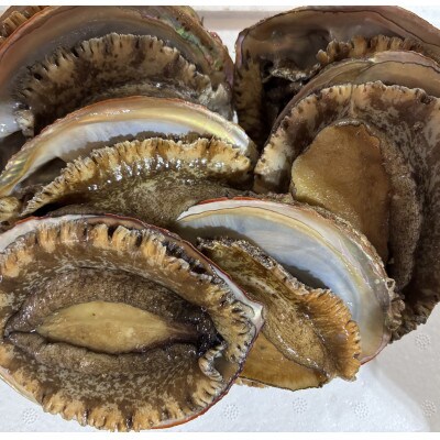 竹中水産の嗜好の大型アワビ(2kg前後)!【H22-230】