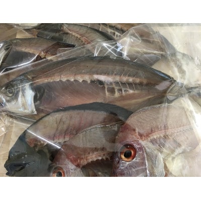 竹中水産の八幡浜発!「匠の干物三昧セット3㎏前後以上(約20枚)」【H22-177】