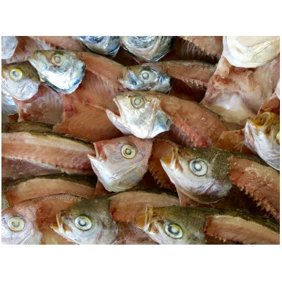 竹中水産の八幡浜発!「匠の干物三昧セット3㎏前後以上(約20枚)」【H22-177】