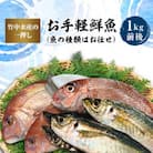 竹中水産の一押し「お手軽鮮魚」1キロ前後【C22-235】