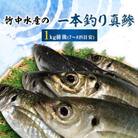 竹中水産の一本釣り真鯵!1キロ前後【C22-238】