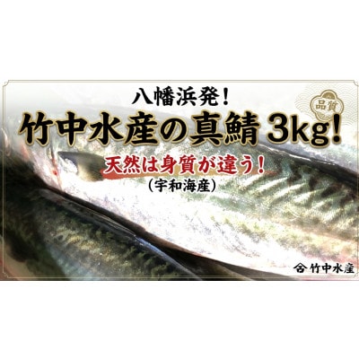 竹中水産の真鯖3キロ!【D22-240】