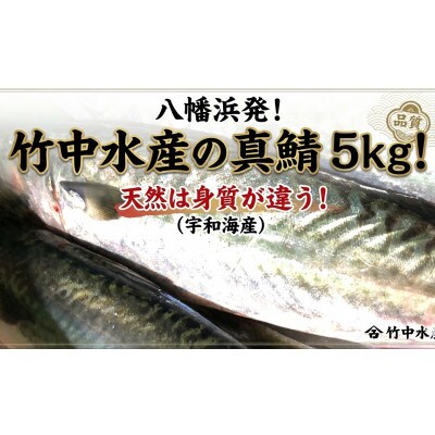 竹中水産の真鯖5キロ!【F22-241】