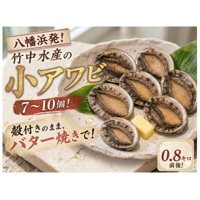竹中水産の天然小アワビ、殻付きのままでバター焼き800g前後(7～10個目安)【G22-247】