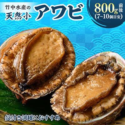 竹中水産の天然小アワビ、殻付きのままでバター焼き800g前後(7～10個目安)【G22-247】