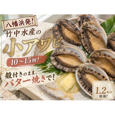竹中水産の天然小アワビ、殻付きのままでバター焼き1.2kg前後(10～15個目安)【H22-248】