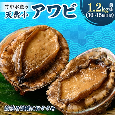 竹中水産の天然小アワビ、殻付きのままでバター焼き1.2kg前後(10～15個目安)【H22-248】