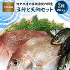 竹中水産の当地自慢の鮮魚2種「真鯵と天鯛」!約1キロセット!(宇和海産)【C22-255】