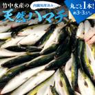竹中水産の「天然ハマチ」丸ごと1本!(約3キロ～3.5キロサイズ)内臓処理済み【F22-257】