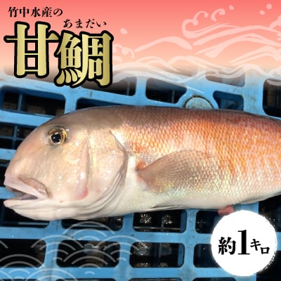 延縄 針を新品に61本全て交換済み 真鯛 甘鯛 かつお よこわ