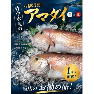 竹中水産の「甘鯛」(赤又は白)約1キロ【F22-260】
