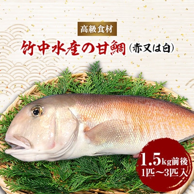 竹中水産の「甘鯛(赤又は白)1.5キロ前後」【F22-261】