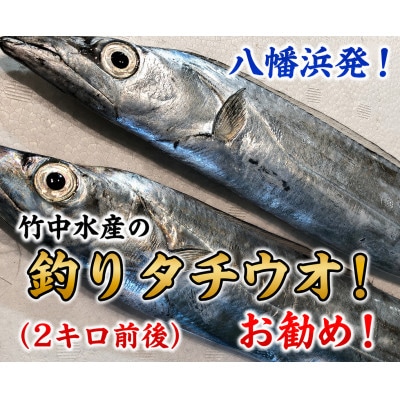 竹中水産の「釣の太刀魚」　約2キロ!【F22-264】