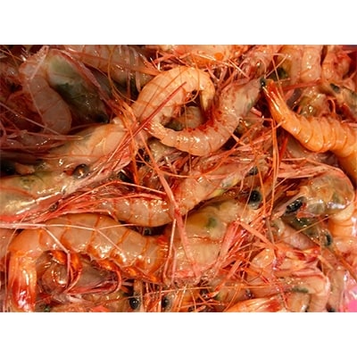 竹中水産の地海老(八幡浜産)2キロ!【F22-267】