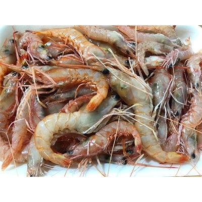 竹中水産の地海老(八幡浜産)2キロ!【F22-267】