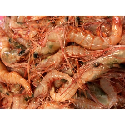 竹中水産の地海老(八幡浜産)2キロ!【F22-267】