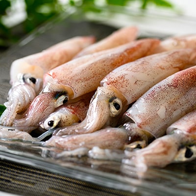 竹中水産のバラスルメ(白イカの小小サイズ)1.5kg【C22-271】