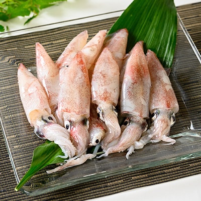 竹中水産のバラスルメ(白イカの小小サイズ)1.5kg【C22-271】