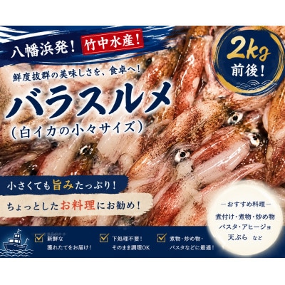 竹中水産のバラスルメ2kg前後(小小サイズ)【D22-223】