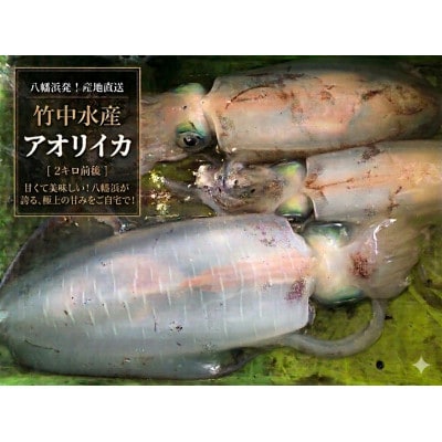竹中水産のアオリイカ2kg前後!(±100g)【H22-273】