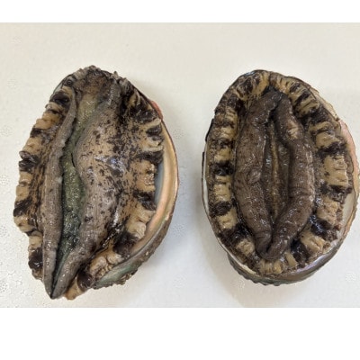 竹中水産の黒アワビ 計200g前後【D22-294】