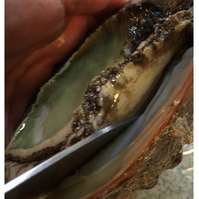 竹中水産の黒アワビ 計200g前後【D22-294】