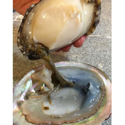 竹中水産の黒アワビ 計200g前後【D22-294】